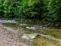 Prien mit Stromschnellen zwischen Wald und Kiesbank